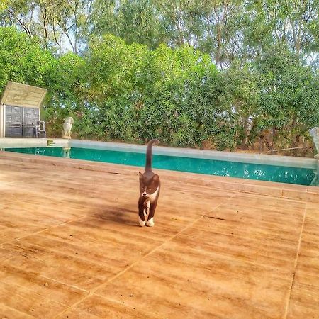 Granja America Apartman Chiclana de la Frontera Kültér fotó