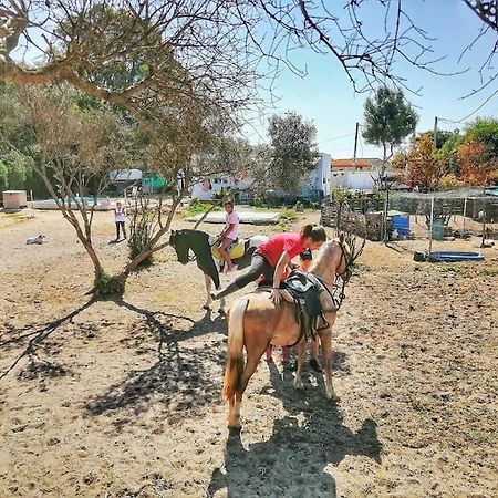 Granja America Apartman Chiclana de la Frontera Kültér fotó