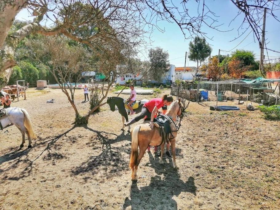 Granja America Apartman Chiclana de la Frontera Kültér fotó