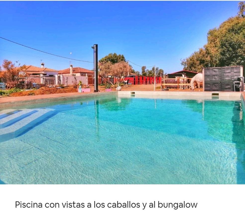 Granja America Apartman Chiclana de la Frontera Kültér fotó